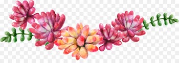 Wreath Watercolor painting Flower bouquet - succulent plants 