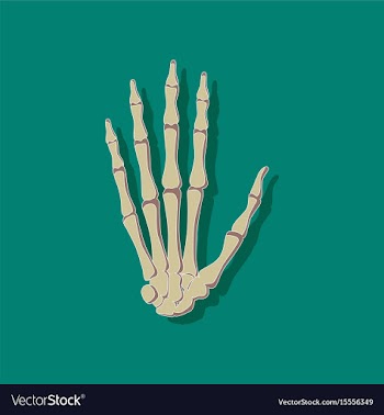 Wrist bone paper sticker on stylish background vector image