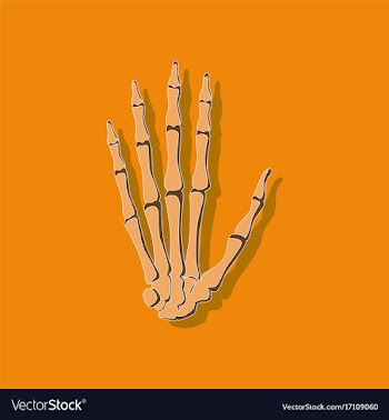 Wrist bone paper sticker on stylish background vector image