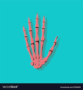 Wrist bone paper sticker on stylish background vector image