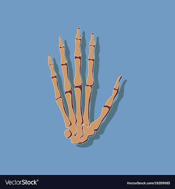 Wrist bone paper sticker on stylish background vector image
