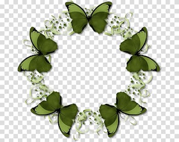 Writing Flower Dog paddle Pattern, Butterfly ring transparent background PNG clipart