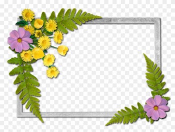 Writing Paper - Flowers Frames