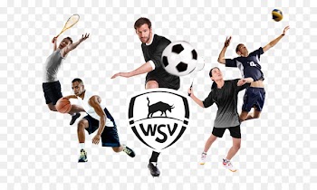 WSV Sport Dynamictennis Apeldoorn Ball game - dynamic png picture 