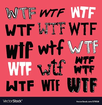 Wtf texting vector image
