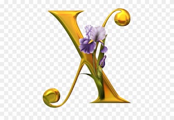 X - Alphabet
