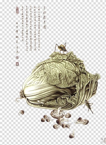 X JaeJade DA, green vegetable leaf transparent background PNG clipart