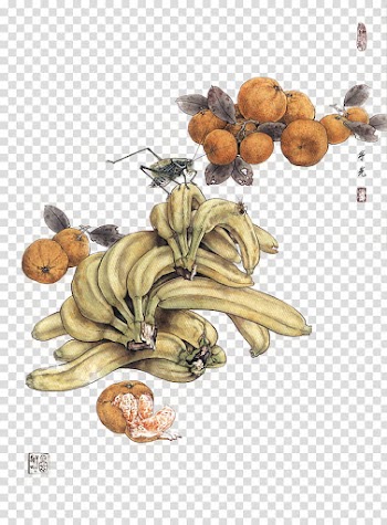 X JaeJade DA, yellow banana and orange fruit transparent background PNG clipart