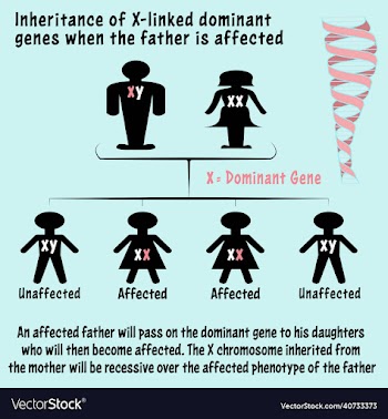 x-linked dominant gene affected father