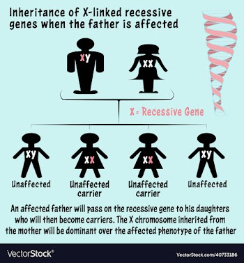 x-linked recessive gene with affected father