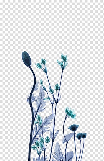 X-ray generator Work of art Artist, Green dream flower decoration pattern transparent background PNG clipart