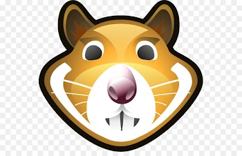 xHamster Logo Life: Life Histories of 100 Famous Logos T-shirt Video on demand - usb pendrive error 