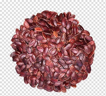 Xinfeng County, Jiangxi Kuaci Pumpkin seed Watermelon, Special flavor of the original pumpkin seeds transparent background PNG clipart