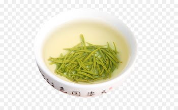 Xinyang Maojian tea Sencha Green tea Bubble tea - Camellia green tea 