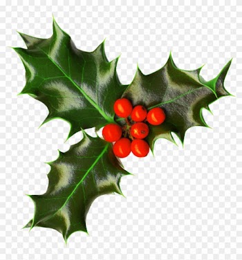 Xmas Holly Png 2 By Iamszissz - Holly Png Transparent