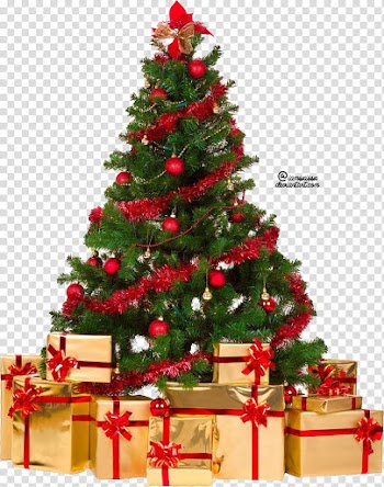 Xmas tree , Christmas tree with gift boxes transparent background PNG clipart