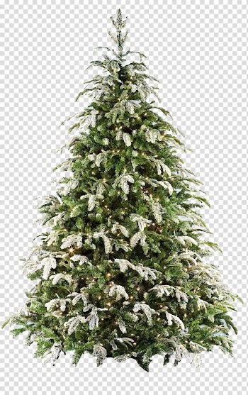 Xmas tree , green and white Christmas tree decor transparent background PNG clipart