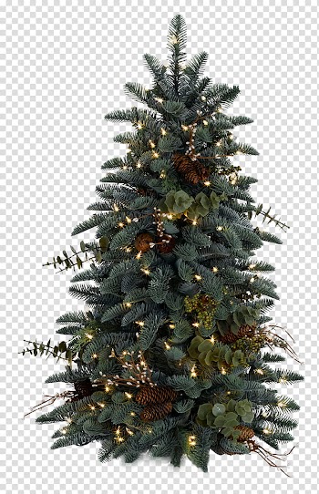 Xmas tree , green Christmas tree transparent background PNG clipart