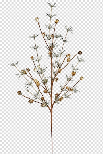 Xmas  Watchers, Christmas tree transparent background PNG clipart