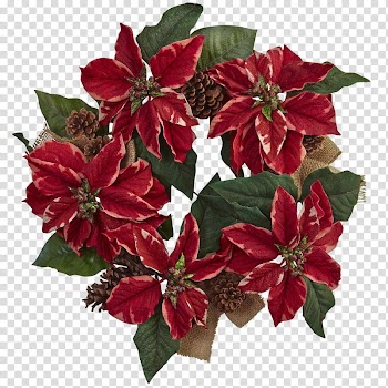 Xmas  Watchers, red poinsettia wreath transparent background PNG clipart