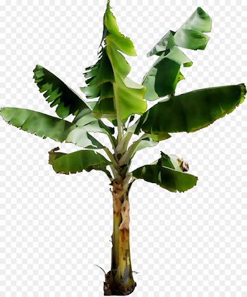 XXXLutz Flowerpot Art Furniture Plant stem -  