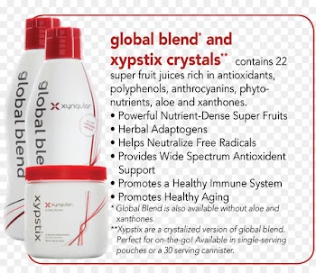 Xyngular Corporation, Health, Weight Loss, Material Property, Skin Care PNG