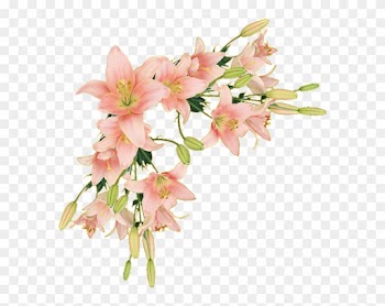 Y Trabajos Con Flores - Flower Border Png Lily