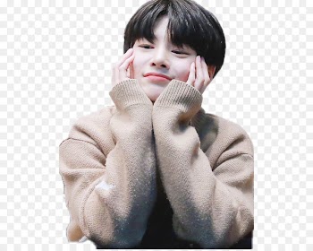 Yang Jeong-in Stray Kids K-pop JYP Entertainment Fortnite Battle Royale - Stray kids 
