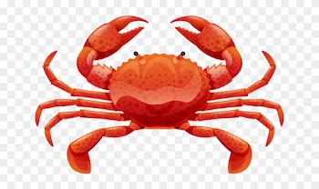 Yangcheng Lake Crab Poster Illustration - Cartoon Crab Food