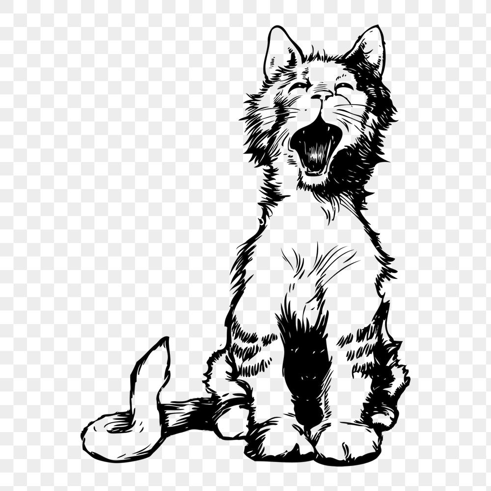Yawning cat png sticker, animal | Free PNG - rawpixel