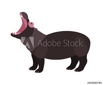 Yawning hippopotamus isolated on white background
