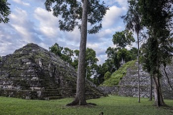 Yaxha-Nakum-Naranjo National Park. Pet&eacute;n, Guatemala. | Free Photo - rawpixel