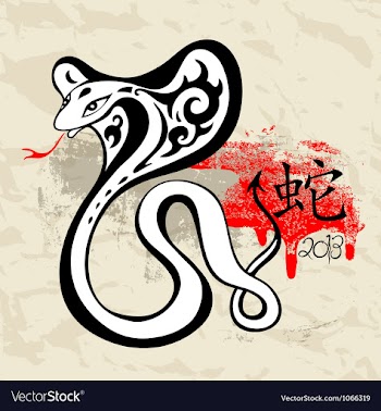  					Year of the Snake 2013 vector image														