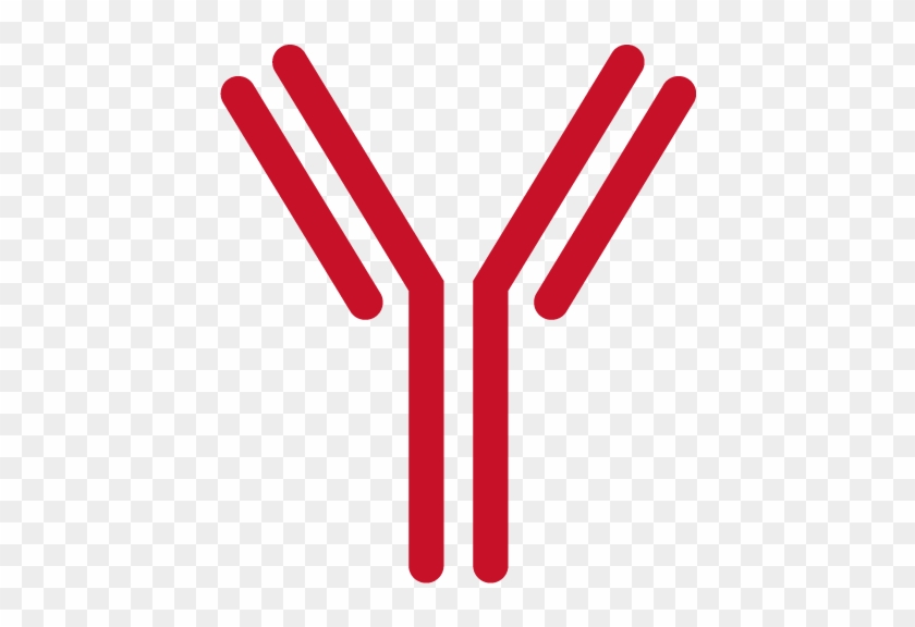 Years In Business - Antibody Transparent Background