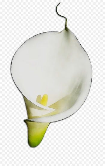 Yellow -  