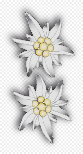 Yellow -  