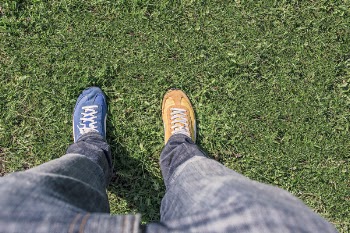 Yellow &amp; Blue Sneakers Free Photo 