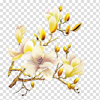 Yellow and beige petaled flower art, White Flower Orchids, White orchid flowers transparent background PNG clipart