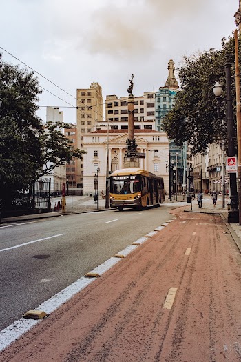 Yellow and Black Bus on Road
