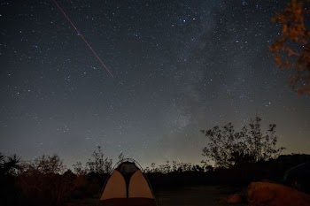 yellow and black dome tent surrounded by trees under black and white sky at nighttime