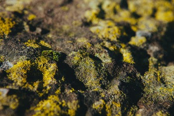 Yellow and Black Stone Fragment