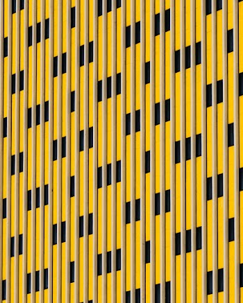 Yellow and Black Striped Pattern