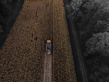 yellow and black truck on field aerial photography