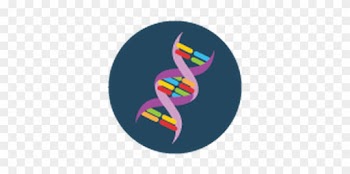 Yellow And Blue - Dna