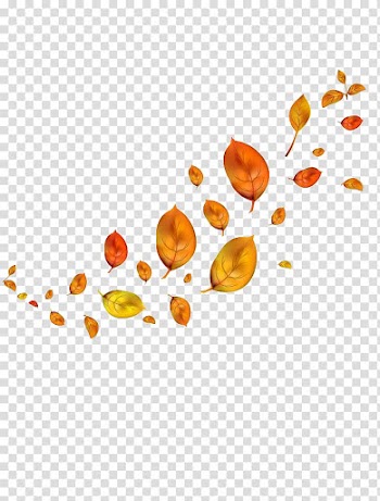 Yellow and brown leaves, Autumn Leaves Leaf, Floating autumn leaves transparent background PNG clipart