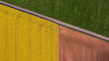 yellow and brown textile