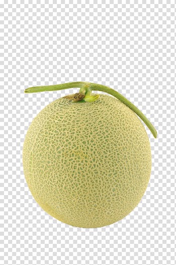 Yellow-and-green cantaloupe fruit, Hami melon Honeydew Cantaloupe, Melon transparent background PNG clipart
