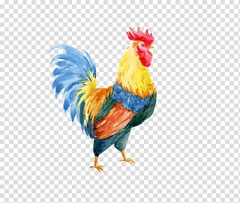 Yellow and green rooster painting, Rooster Watercolor painting Drawing Illustration, Hand painted chicken transparent background PNG clipart