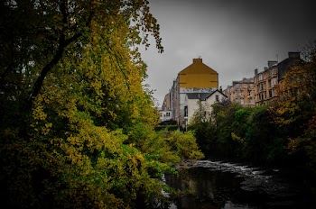 Yellow and Green Trees Beside River