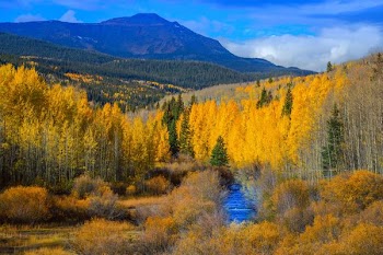 yellow and green trees with mountain long exposure photography